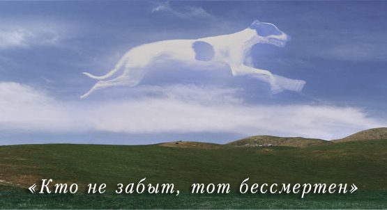 "… Эта рана не вечна - в ритуальном огне твое горе сгорит"